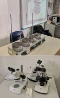 lab scient